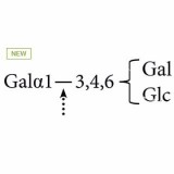 α(1-3,4,6)-галактозидаза (кофейные зерна) (ранее ProZyme)