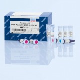 Набор реагентов therascreen EGFR Plasma RGQ PCR Kit