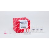 Набор miRNeasy Tissue/Cells Advanced Mini Kit для выделения тотальной РНК, включая микроРНК, из клеток и тканей(50 реакций)