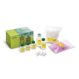 Набор Aurum™ Plasmid Mini Kit для выделения плазмидной ДНК(100 реакций)